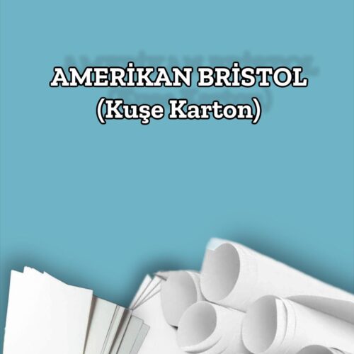 1000 Adet – Amerikan Bristol Boş Davetiye Tebrik Kartı