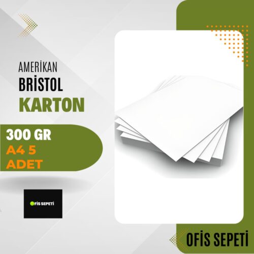 Amerikan Bristol Karton 300 gr A4 5 Adet – Ofis Sepeti (0,91 KG)