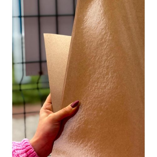 180 gr Tek Taraflı Laminasyonlu Silikonlu Oto Paspas 35×50 cm Suya Dayanıklı Dezenfektanlı 4 Adet