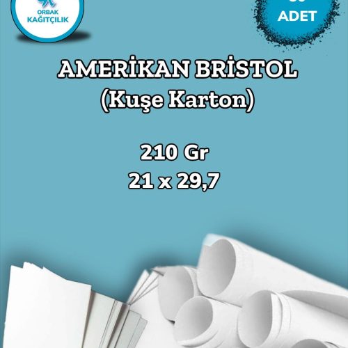210 Gr. Amerikan Bristol Kağıt Karton 21×29,7 A4 Ebatında 50 Adet (0,65 KG)