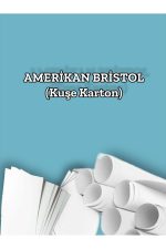 210 Gr. Amerikan Bristol Kağıt Karton 50x70 50 Adet (3,67 KG) - Görsel 2