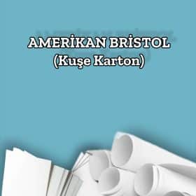 300 Gr. Amerikan Bristol Kağıt Karton 70x100 100 Adet (21 KG)