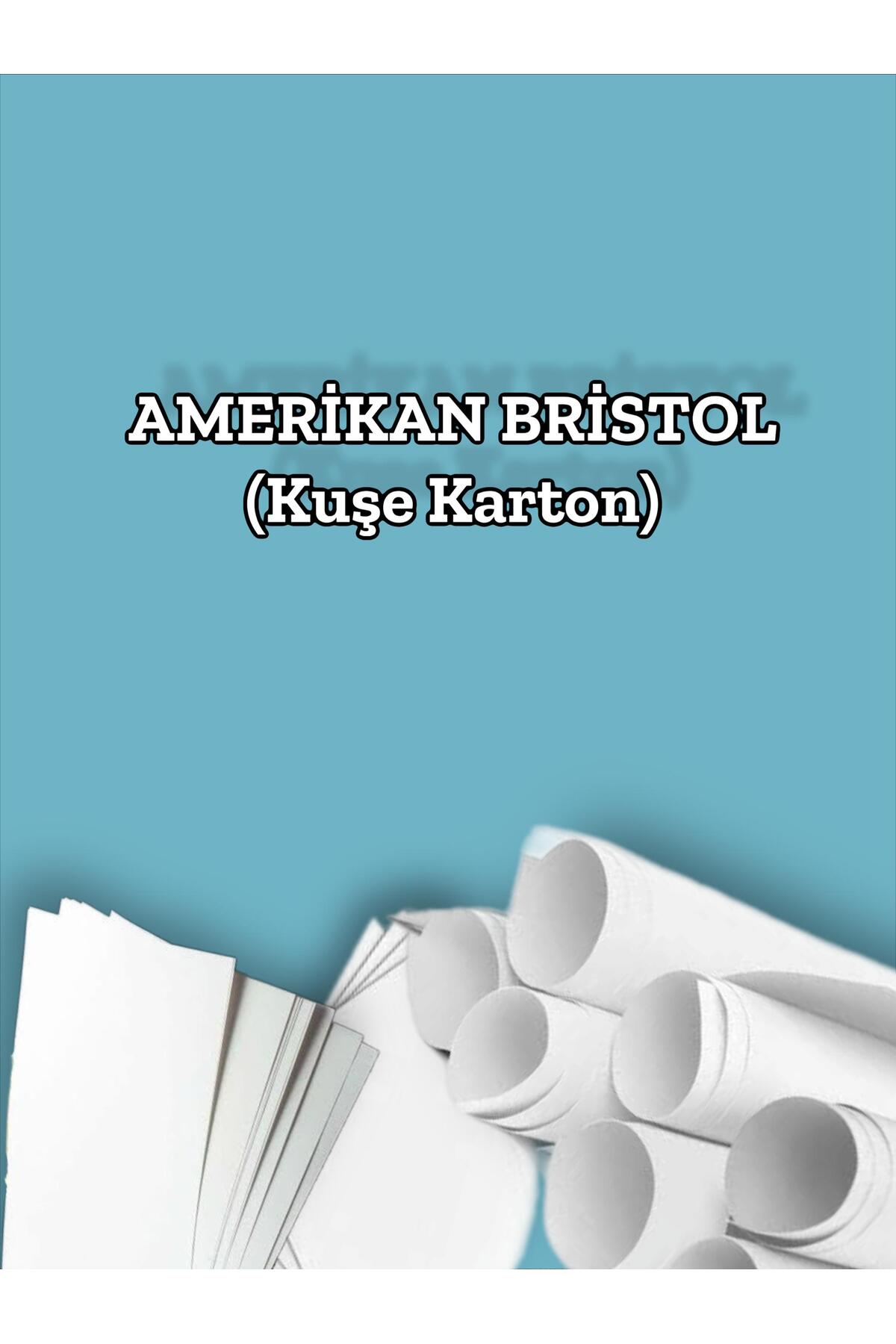 350 Gr. Amerikan Bristol Kağıt Karton 21x29,7 A4 Ebatında 100 Adet (2,18 KG) - Görsel 2